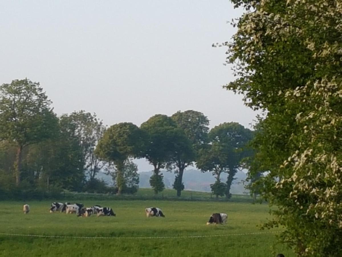 La Tilia Bed & Breakfast Saint-Riquier ภายนอก รูปภาพ